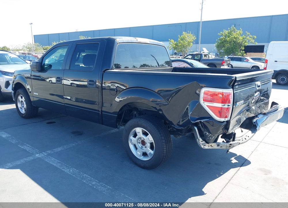 2014 FORD F-150 XLT VIN: 1FTFW1CT1EKD61463