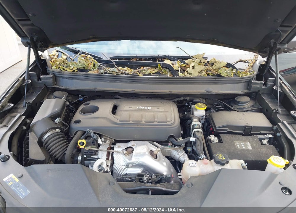 2019 JEEP CHEROKEE TRAILHAWK ELITE 4X4 VIN: 1C4PJMBN9KD459891