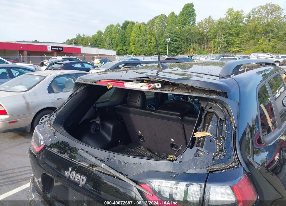 2019 JEEP CHEROKEE TRAILHAWK ELITE 4X4 VIN: 1C4PJMBN9KD459891