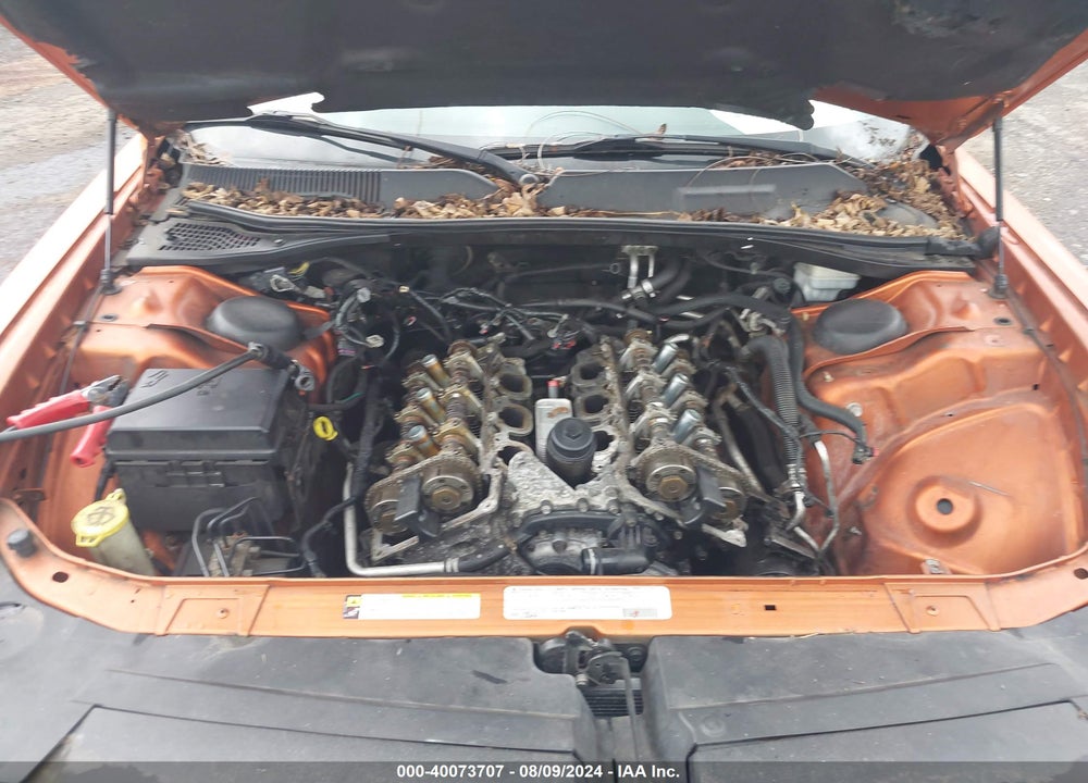 2011 DODGE CHALLENGER VIN: 2B3CJ4DG7BH602242