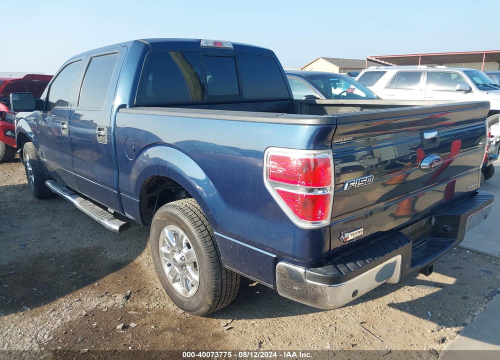 2014 FORD F-150 XLT VIN: 1FTFW1CF7EKD03836