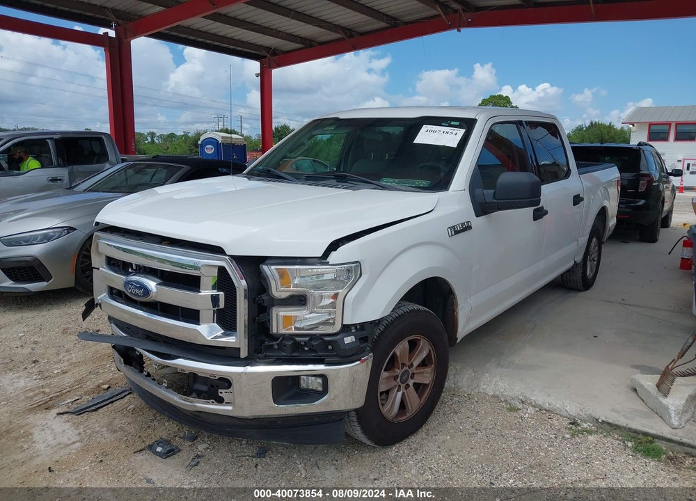 2015 FORD F-150 XLT VIN: 1FTEW1CF9FFA73013