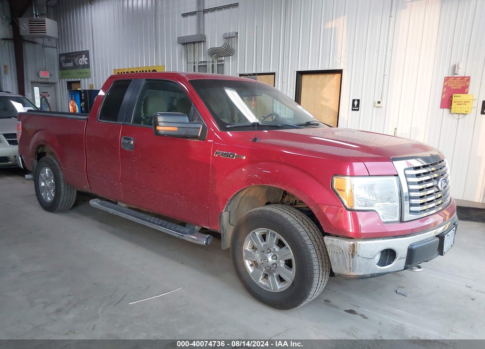 2011 FORD F-150 XLT VIN: 1FTFX1EFXBFB04164