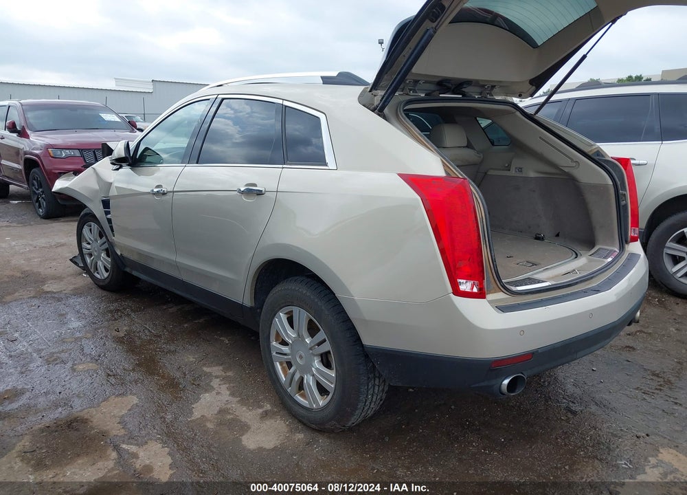 2010 CADILLAC SRX LUXURY COLLECTION VIN: 3GYFNAEY9AS632953