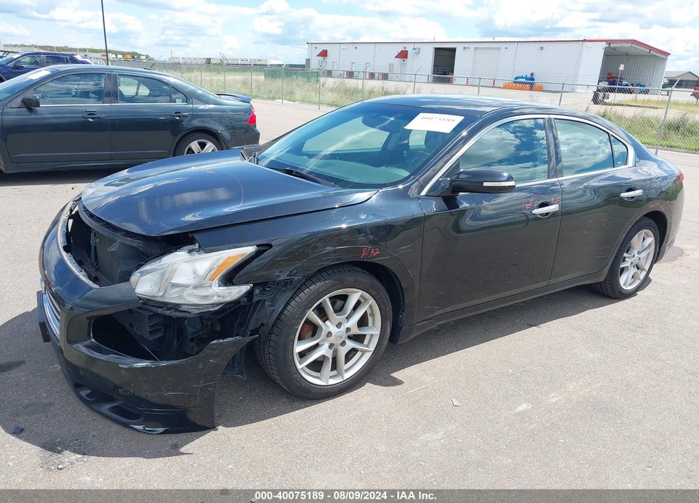 2009 NISSAN MAXIMA 3.5 SV VIN: 1N4AA51E39C855219
