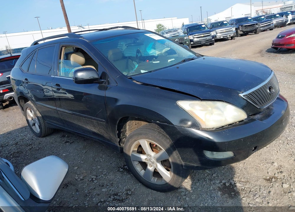 2006 LEXUS RX 330 VIN: 2T2HA31U66C091191