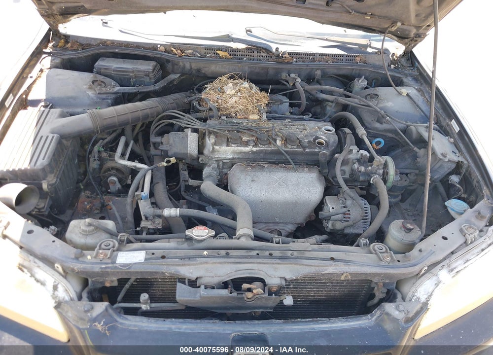 2000 HONDA ACCORD 2.3 LX VIN: JHMCG6555YC023606