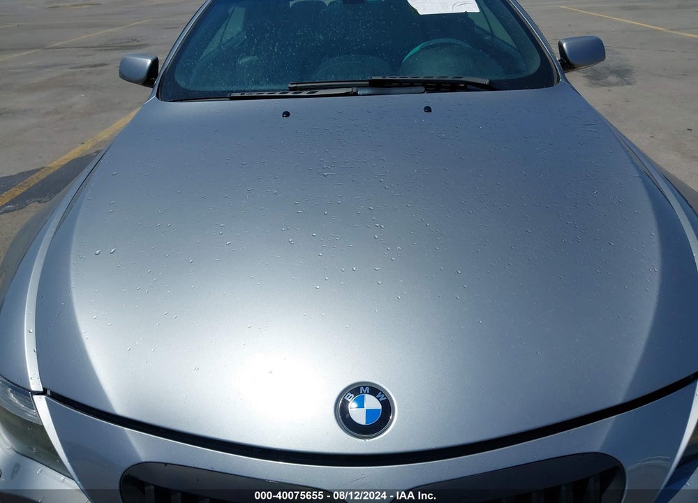 2006 BMW 650I VIN: WBAEK13446CN77168