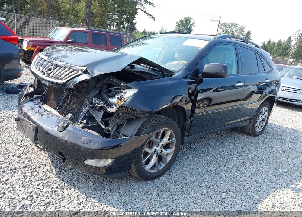 2009 LEXUS RX 350 VIN: 2T2HK31U39C105503