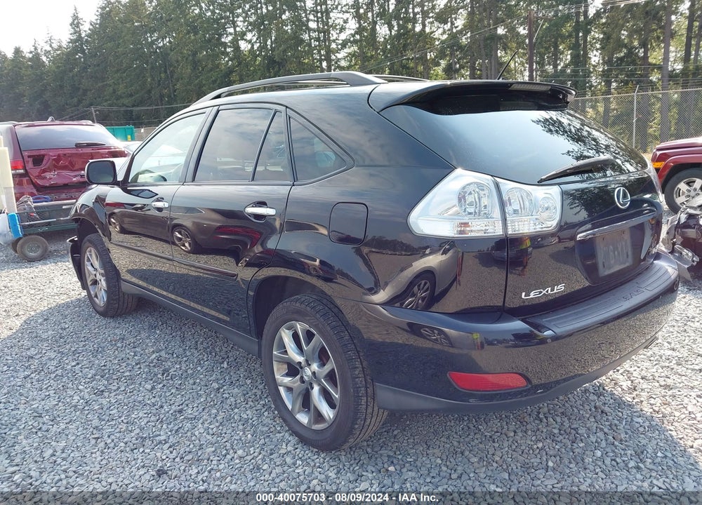 2009 LEXUS RX 350 VIN: 2T2HK31U39C105503