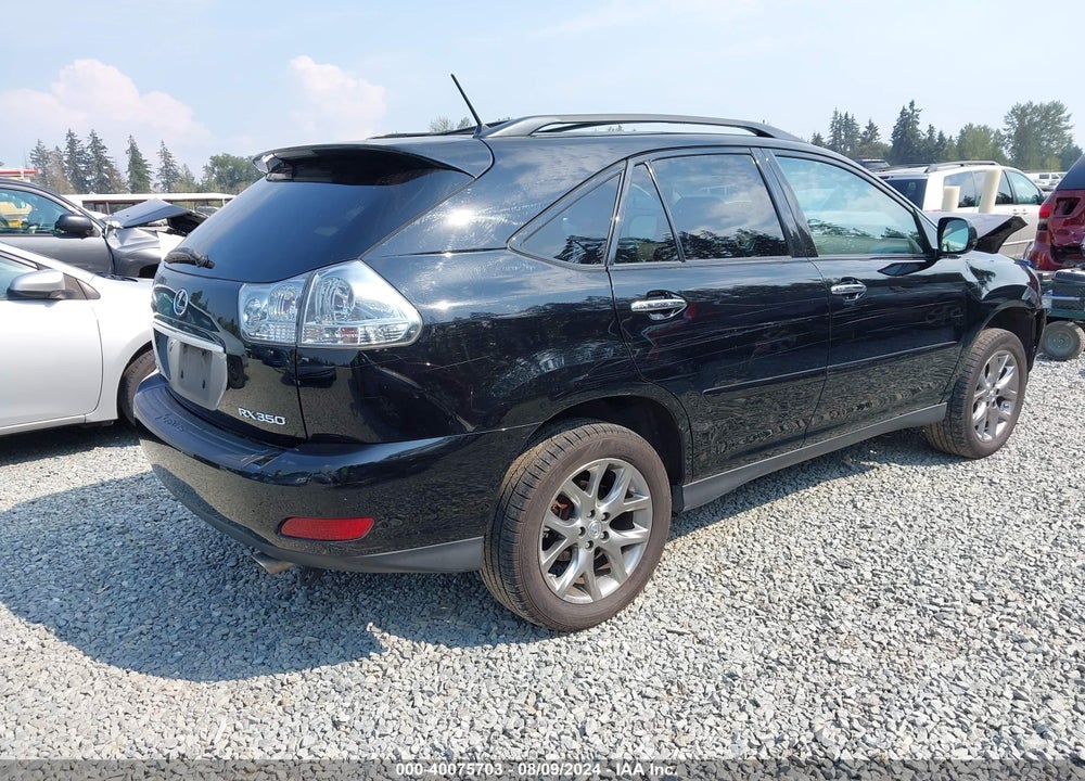 2009 LEXUS RX 350 VIN: 2T2HK31U39C105503
