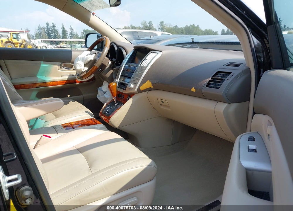 2009 LEXUS RX 350 VIN: 2T2HK31U39C105503