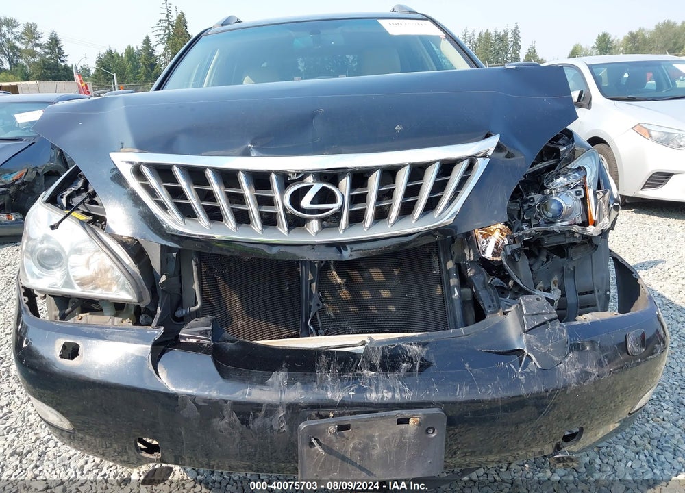 2009 LEXUS RX 350 VIN: 2T2HK31U39C105503