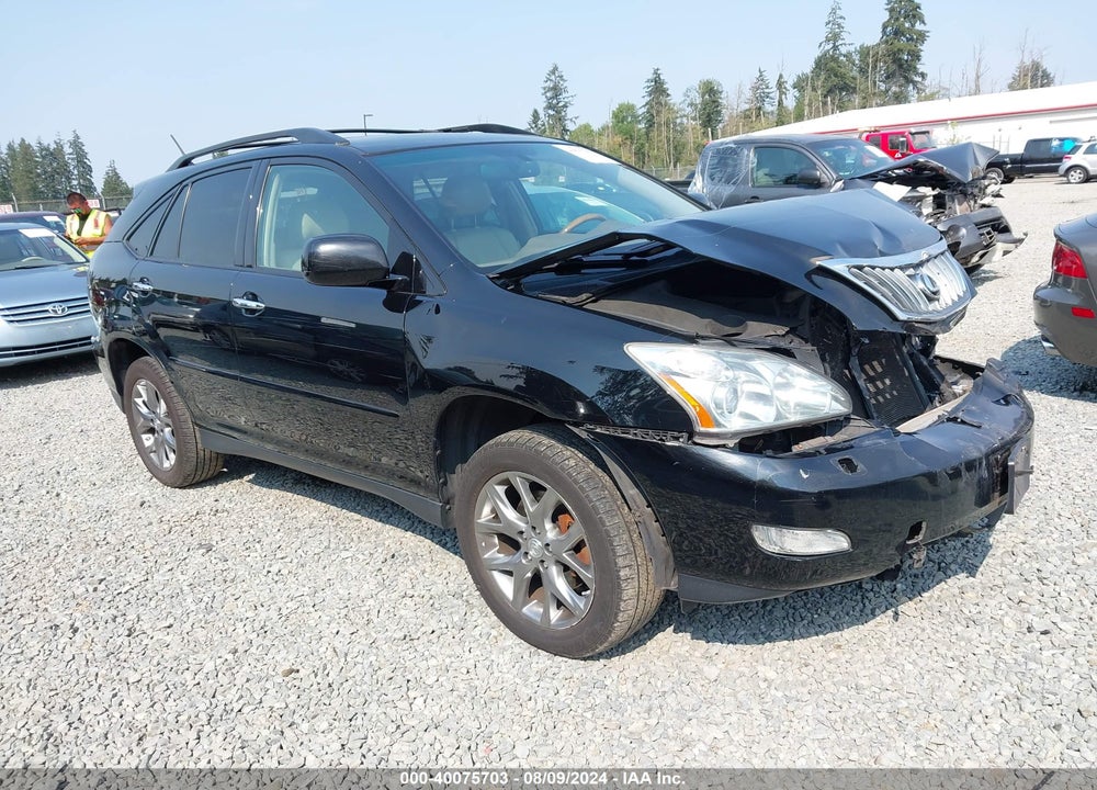 2009 LEXUS RX 350 VIN: 2T2HK31U39C105503
