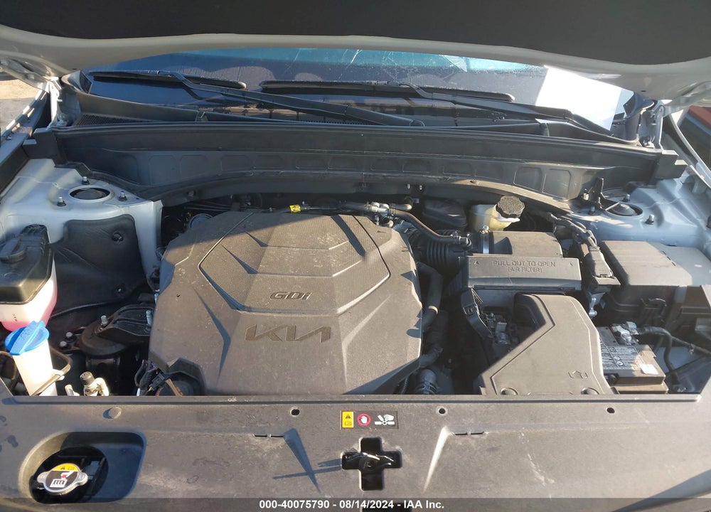 2024 KIA TELLURIDE SX PRESTIGE X-LINE VIN: 5XYP5DGC2RG416999