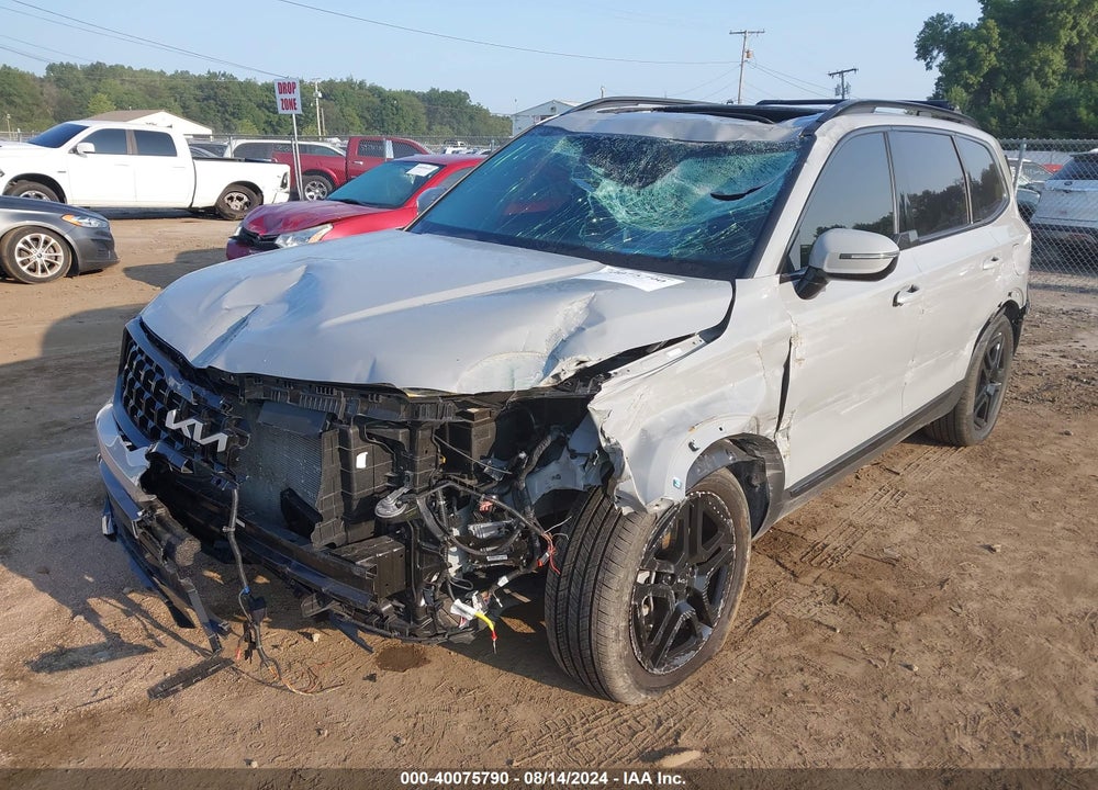 2024 KIA TELLURIDE SX PRESTIGE X-LINE VIN: 5XYP5DGC2RG416999