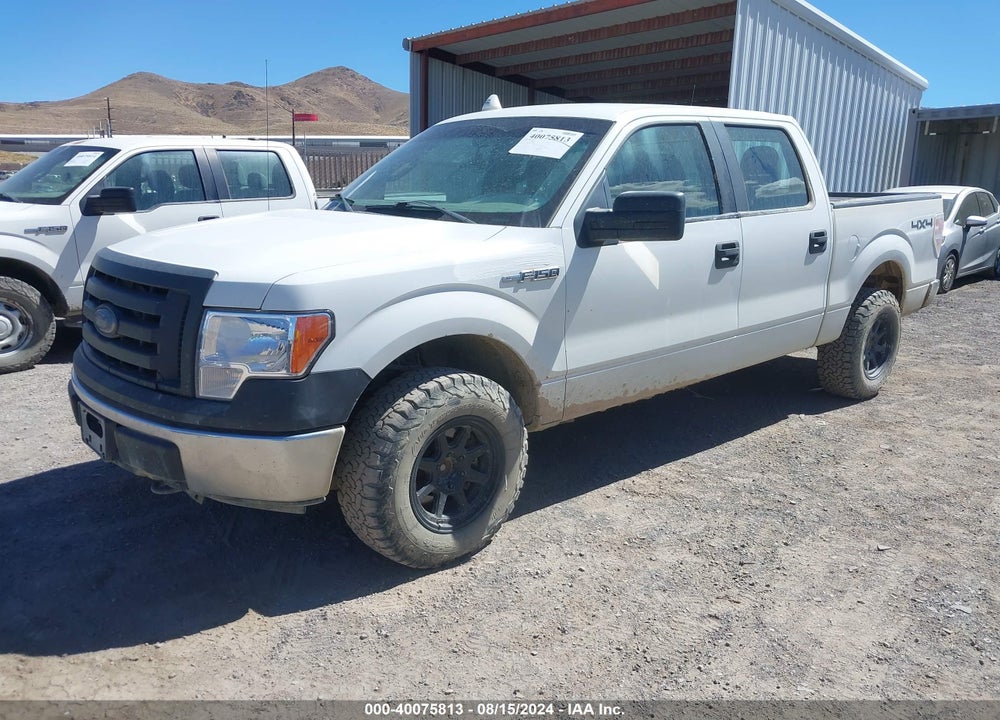 2010 FORD F-150 XL/XLT VIN: 1FTEW1E80AFA06050