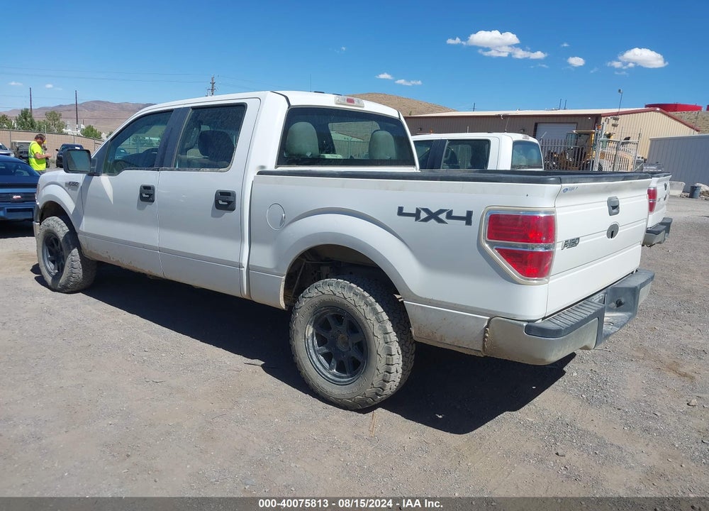 2010 FORD F-150 XL/XLT VIN: 1FTEW1E80AFA06050