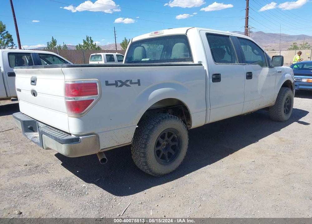2010 FORD F-150 XL/XLT VIN: 1FTEW1E80AFA06050