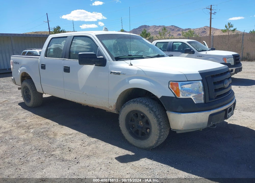 2010 FORD F-150 XL/XLT VIN: 1FTEW1E80AFA06050