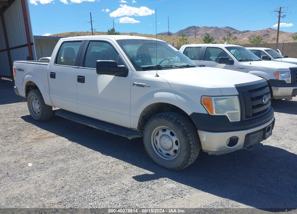 2012 FORD F-150 XL VIN: 1FTFW1EF3CFC23033