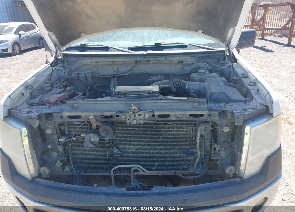 2013 FORD F-150 XL VIN: 1FTFW1EF3DFA07040