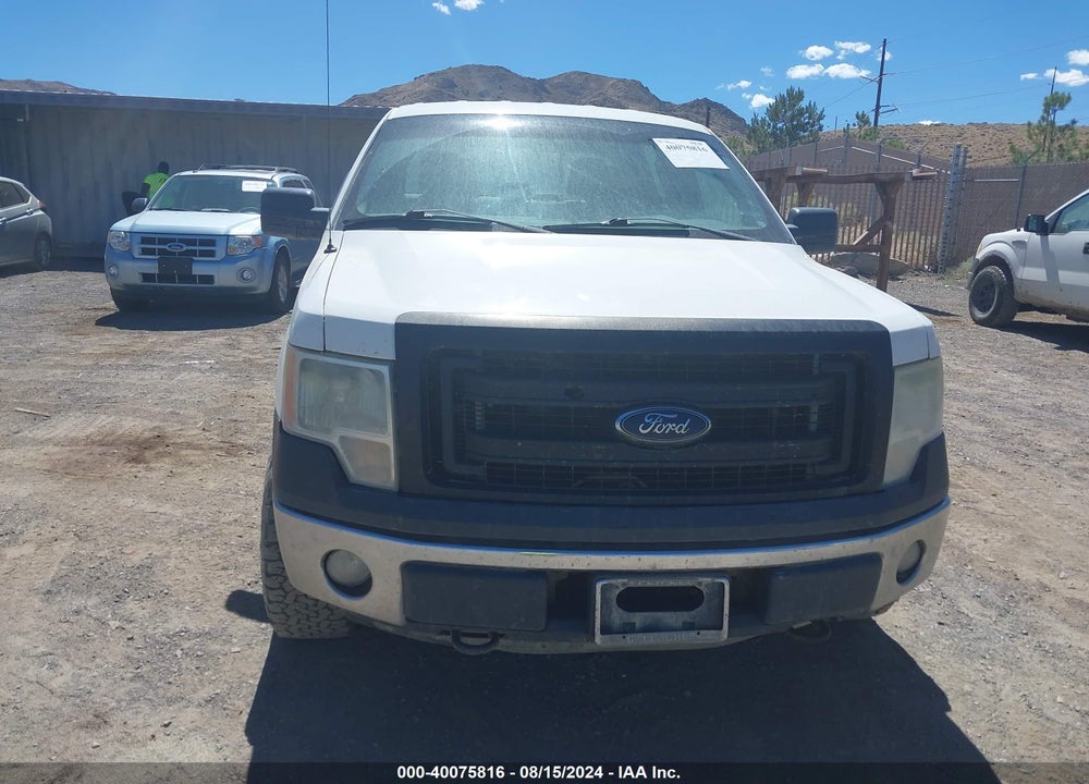 2013 FORD F-150 XL VIN: 1FTFW1EF3DFA07040