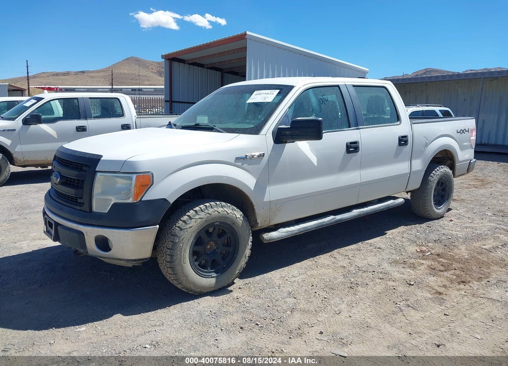 2013 FORD F-150 XL VIN: 1FTFW1EF3DFA07040