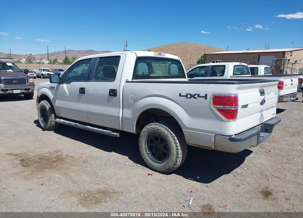 2013 FORD F-150 XL VIN: 1FTFW1EF3DFA07040