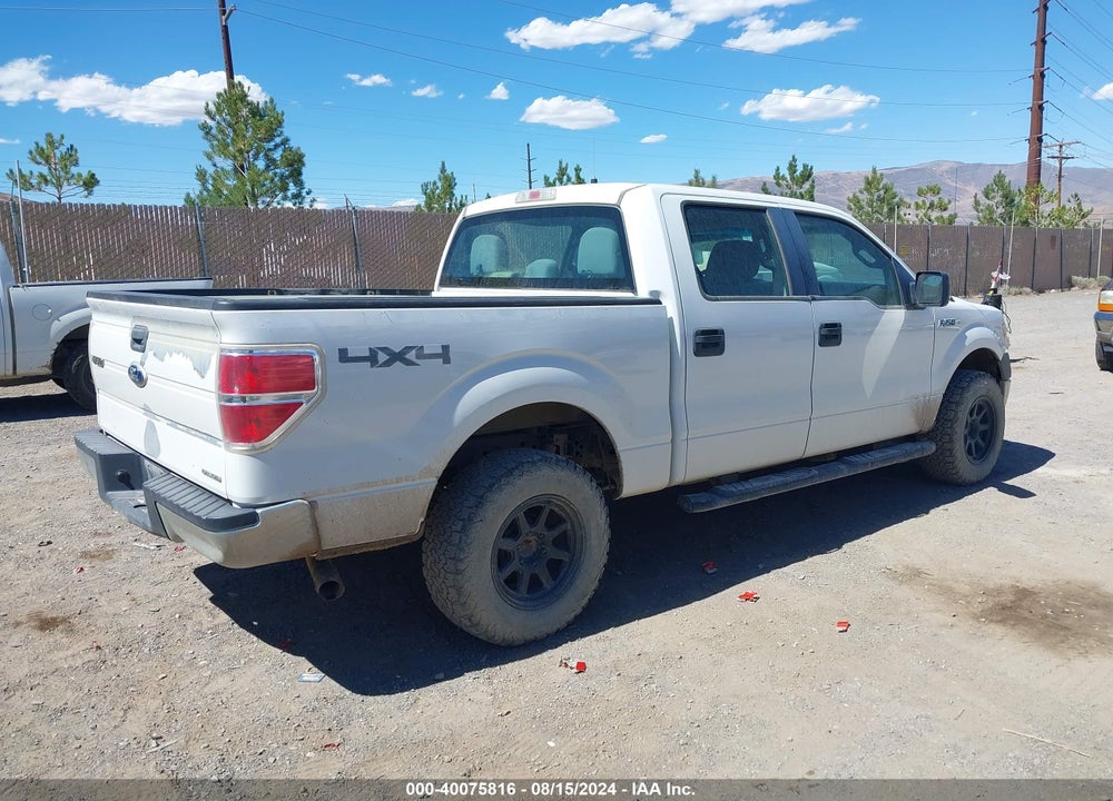 2013 FORD F-150 XL VIN: 1FTFW1EF3DFA07040