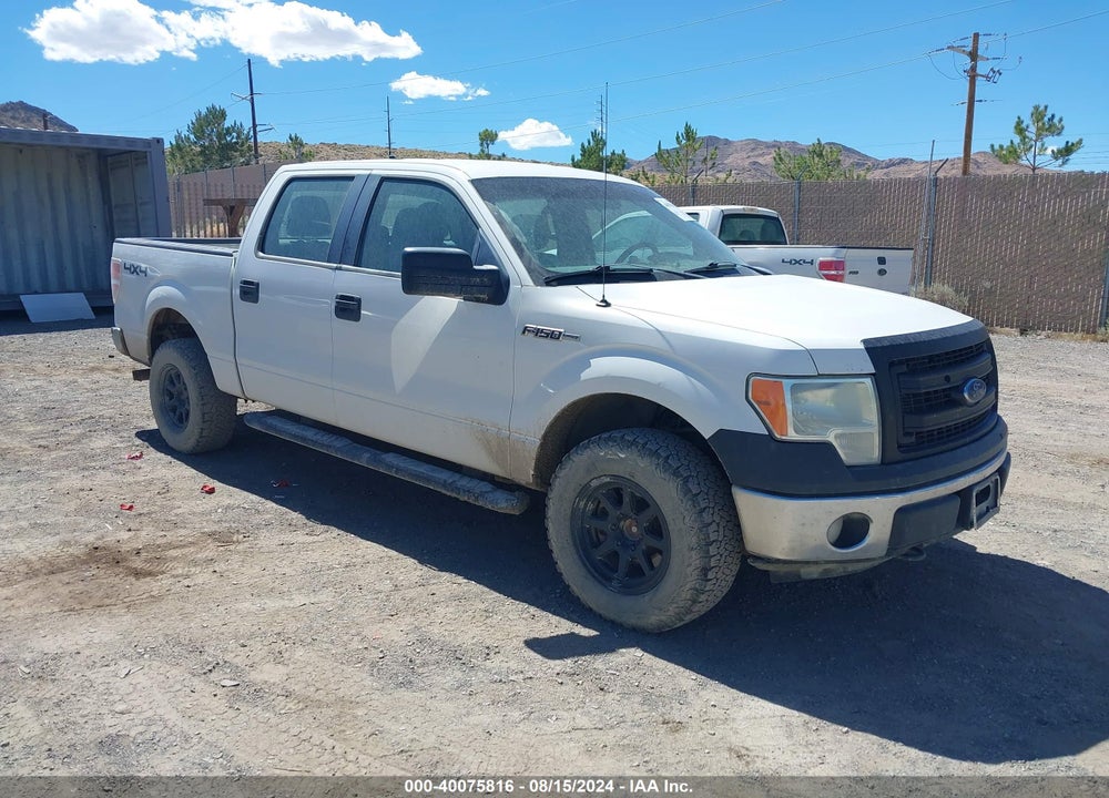 2013 FORD F-150 XL VIN: 1FTFW1EF3DFA07040