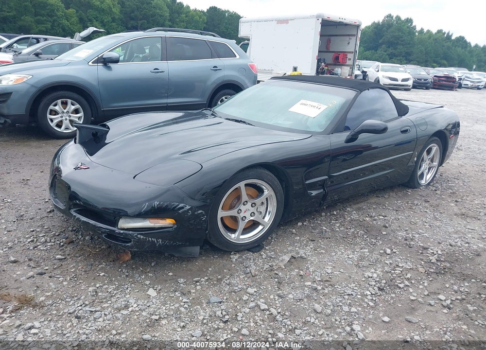 2004 CHEVROLET CORVETTE VIN: 1G1YY32G745102002