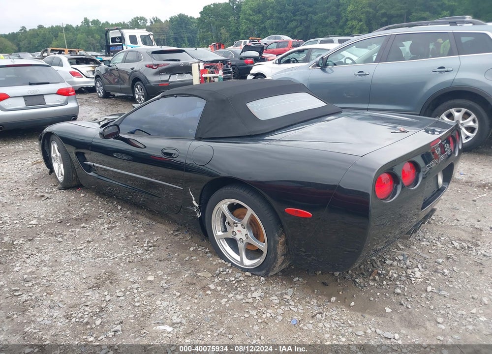 2004 CHEVROLET CORVETTE VIN: 1G1YY32G745102002