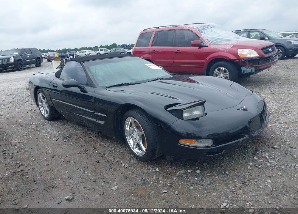 2004 CHEVROLET CORVETTE VIN: 1G1YY32G745102002