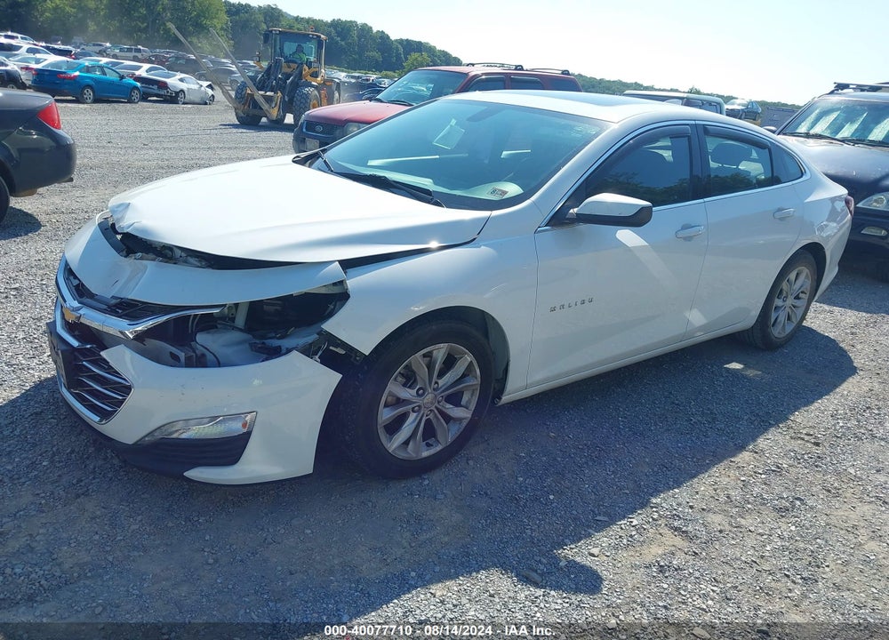 2019 CHEVROLET MALIBU VIN: 1G1ZD5ST3KF220693