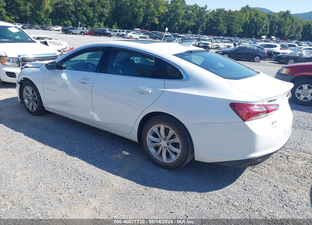 2019 CHEVROLET MALIBU VIN: 1G1ZD5ST3KF220693