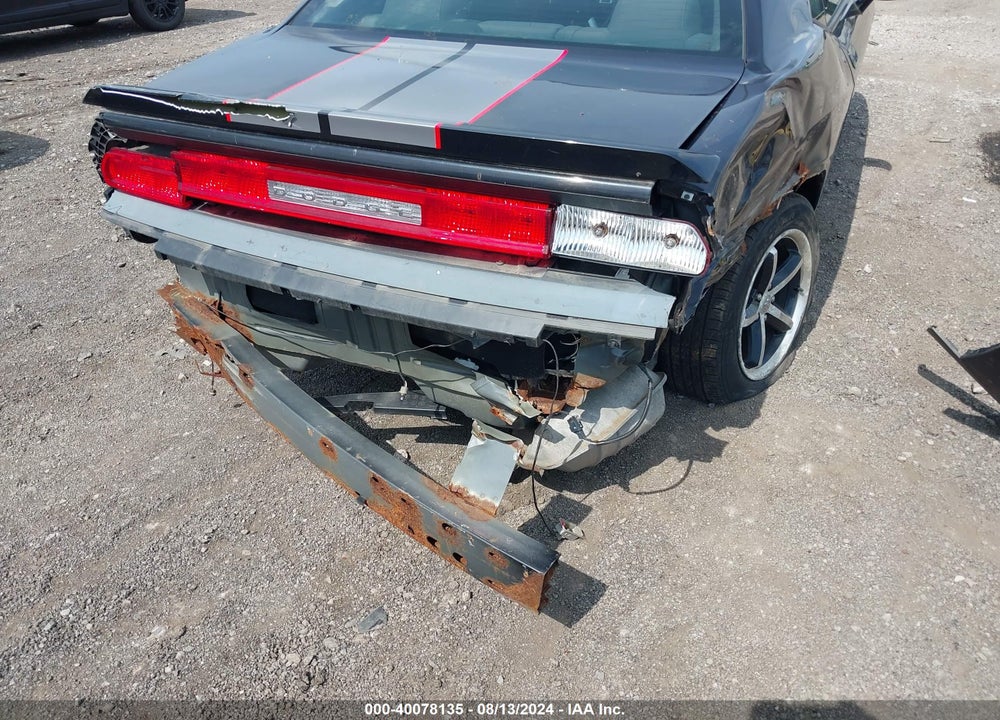 2010 DODGE CHALLENGER VIN: 2B3CJ4DV1AH130309