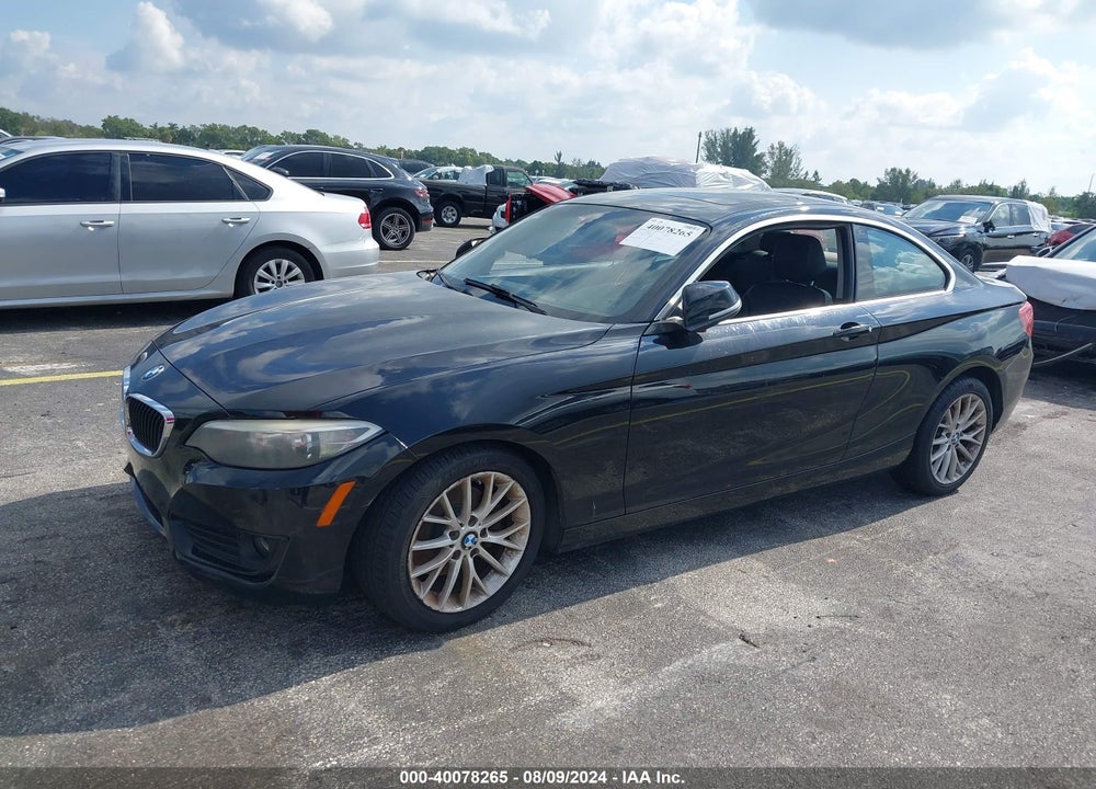 2014 BMW 228I VIN: WBA1F5C51EVV99313