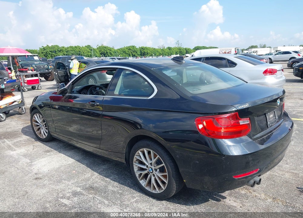 2014 BMW 228I VIN: WBA1F5C51EVV99313