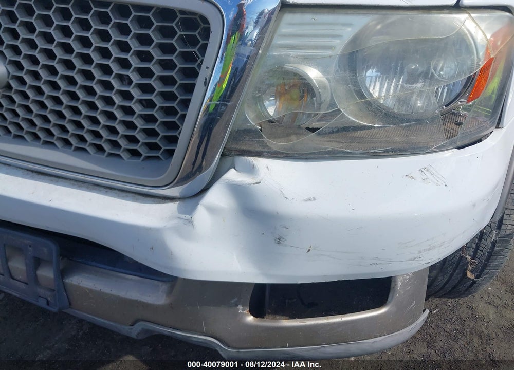 2004 FORD F-150 LARIAT/XL/XLT VIN: 1FTPX12574NC59943