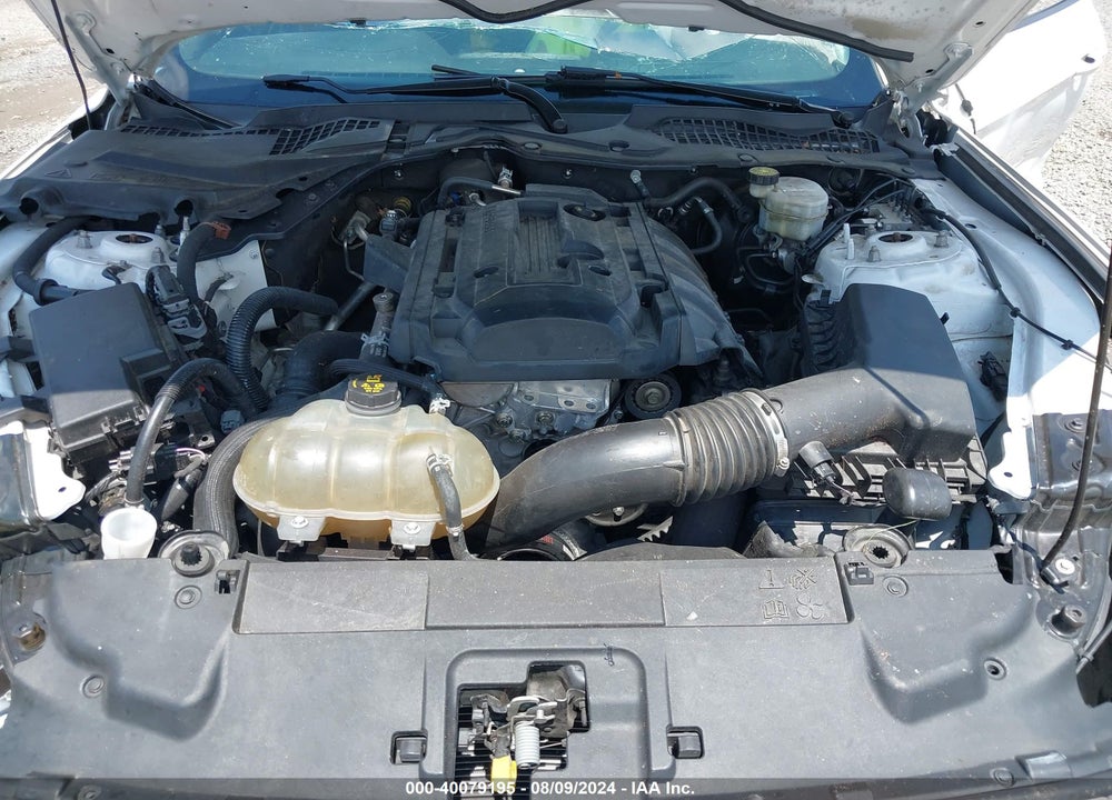 2020 FORD MUSTANG ECOBOOST FASTBACK VIN: 1FA6P8TH4L5149353