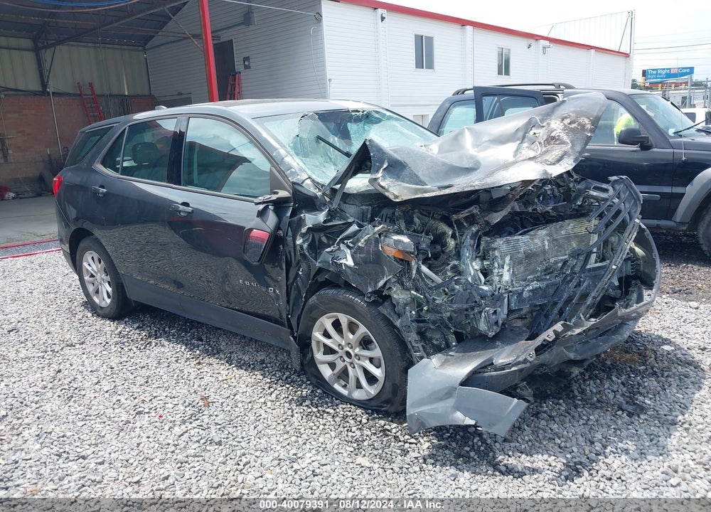 2019 CHEVROLET EQUINOX LS VIN: 3GNAXHEV1KS612844