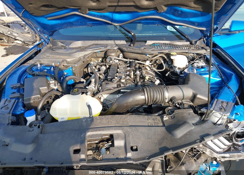 2021 FORD MUSTANG ECOBOOST FASTBACK VIN: 1FA6P8TH4M5149743