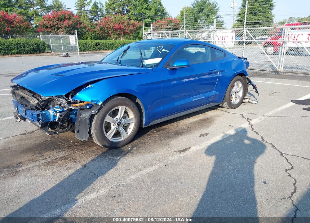 2021 FORD MUSTANG ECOBOOST FASTBACK VIN: 1FA6P8TH4M5149743