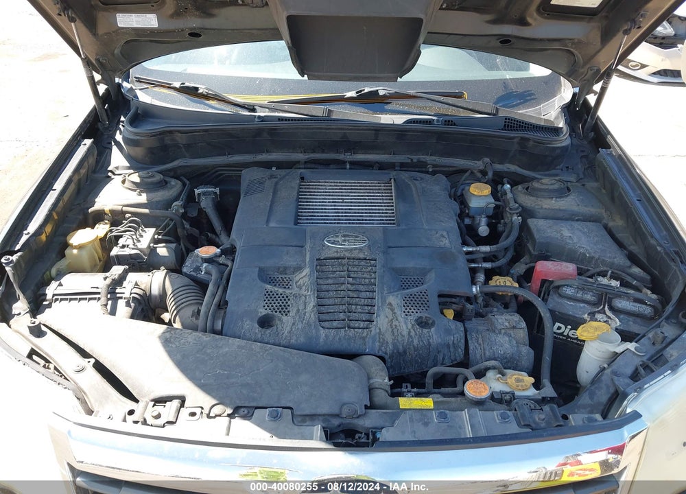2010 SUBARU FORESTER VIN: JF2SH6FC3AH701903