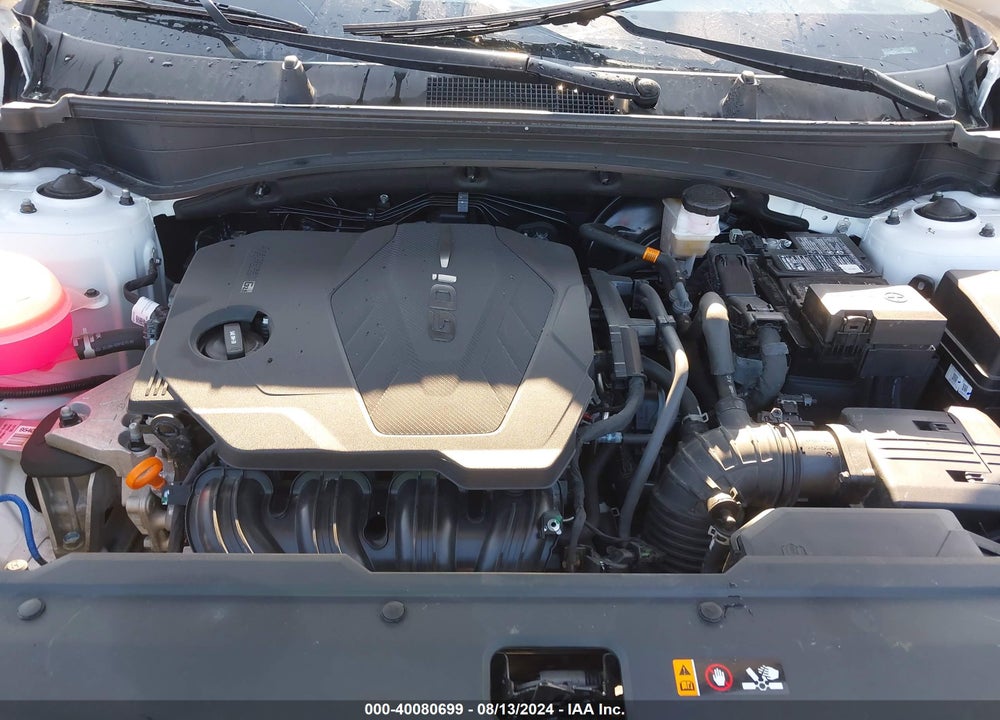 2023 KIA SPORTAGE EX VIN: 5XYK3CAF8PG013801