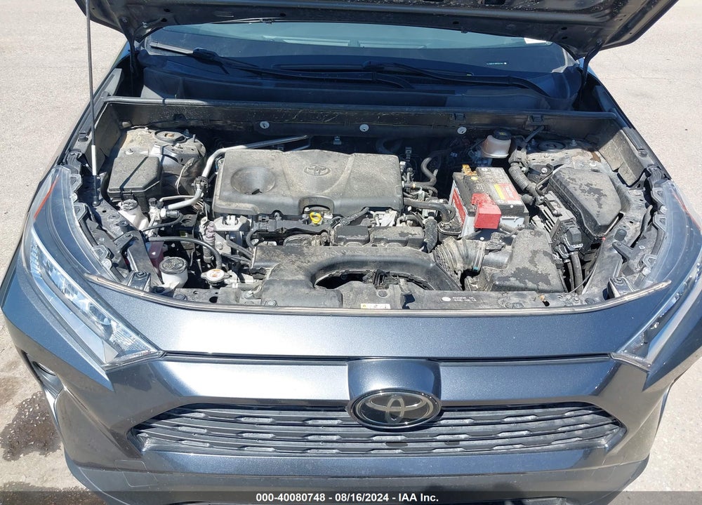 2019 TOYOTA RAV4 XLE VIN: JTMW1RFV8KD507657