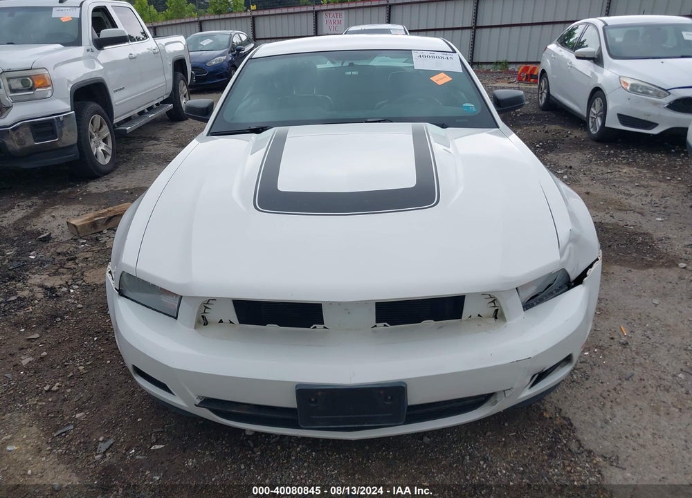 2010 FORD MUSTANG VIN: 1ZVBP8AN2A5121238