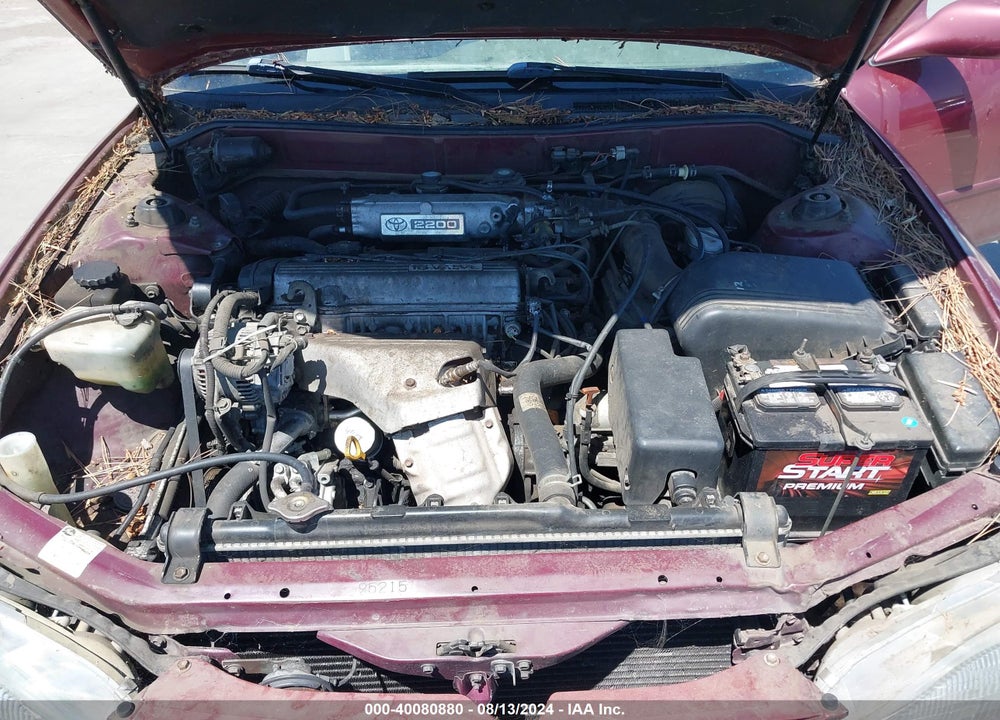 1996 TOYOTA CAMRY DX/LE/XLE VIN: JT2BG12K5T0402022