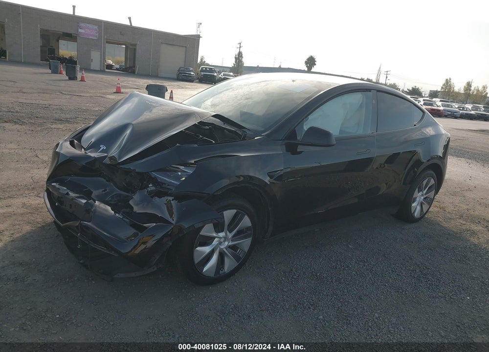 2023 TESLA MODEL Y VIN: 7SAYGDEE6PF919056